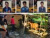 Tiga Orang Pelaku Pencuri Sapi Di Tangkap Tim Resmob Polres Tana Toraja